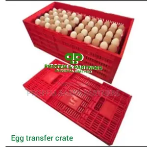 Egg Transport Crate