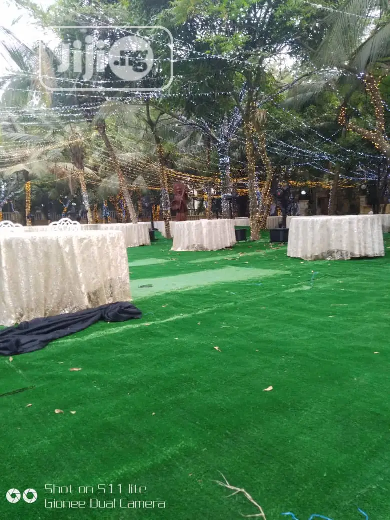 Quality Carpet Grass