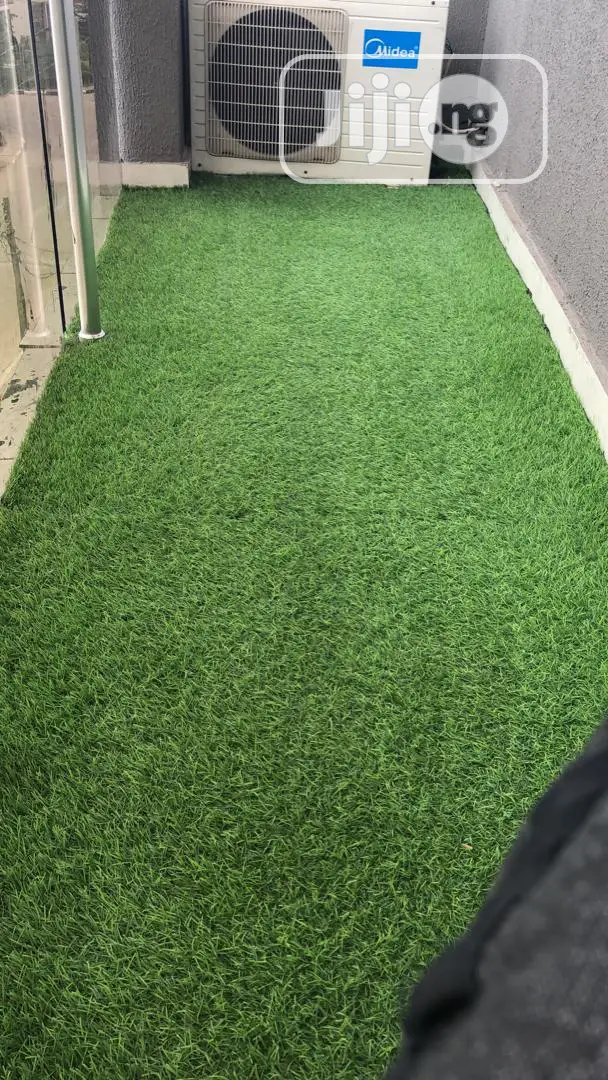 Quality Carpet Grass