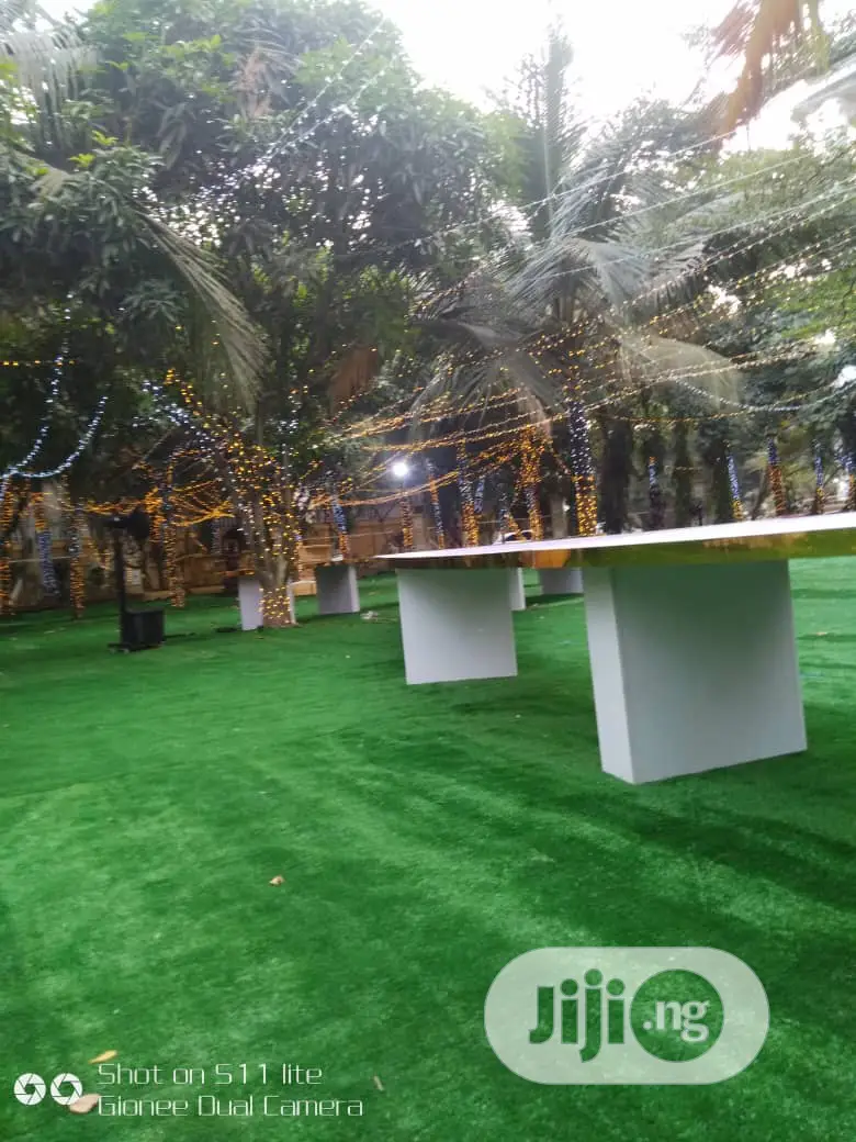 Quality Carpet Grass