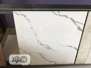 High Quality 60 X 60 Floor Tiles