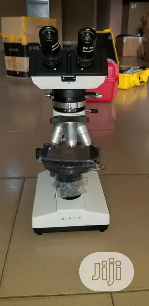 Binocular Polarized Microscope (Brunel, U.K)