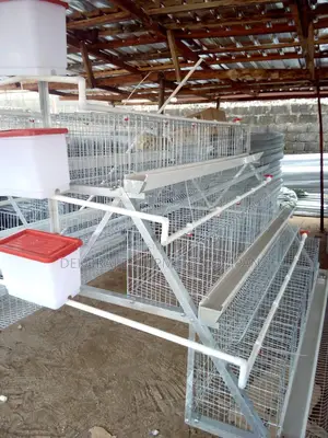 2023 Imported Battery Cage for 120 Layers