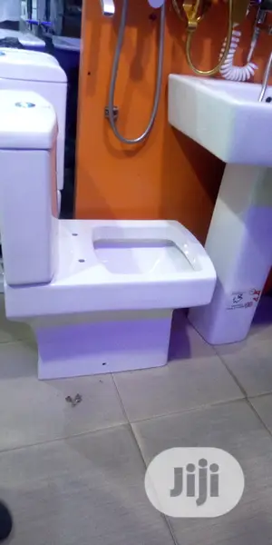 Matured W/C With Wash Hand Basin