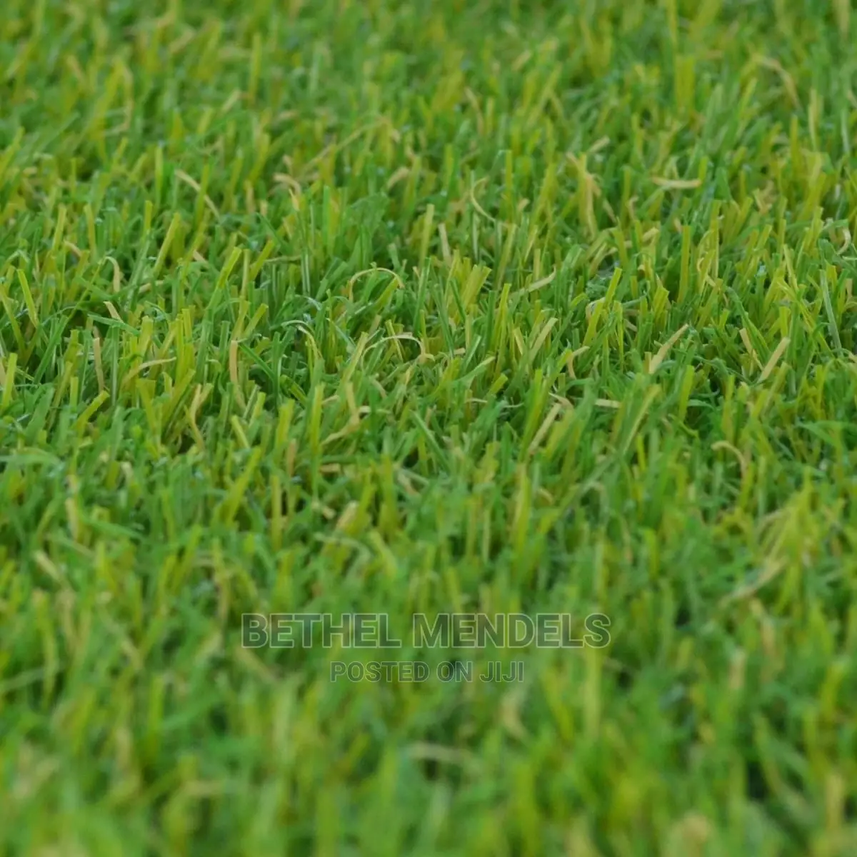 20mm Artificial Grass