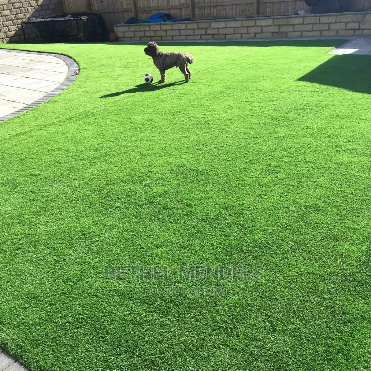 20mm Artificial Grass