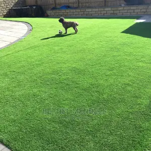 20mm Artificial Grass