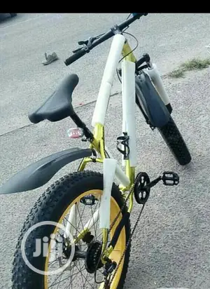 Mountain Bike Big Tyre