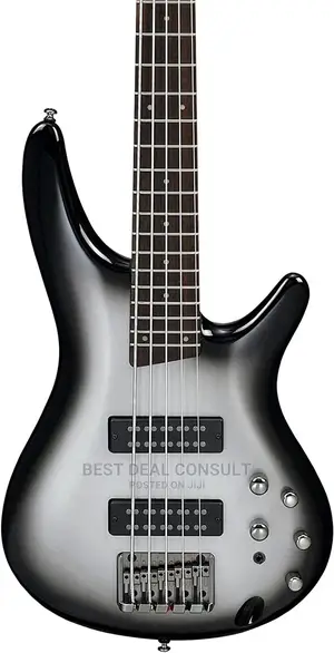 Ibanez Five String Base Guitar