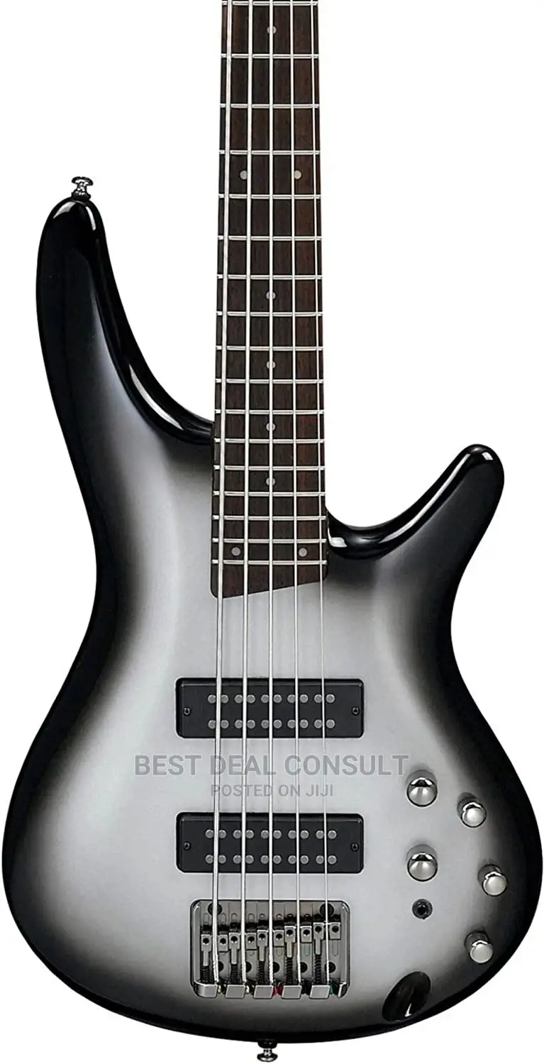 Ibanez Five String Base Guitar