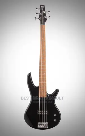 Ibanez Five String Base Guitar