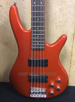 Ibanez Five String Base Guitar