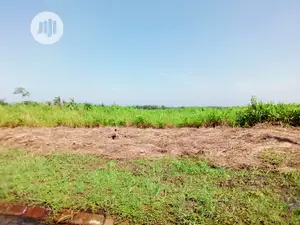 This Land Is for Sale With C of O at Beechwood Estate
