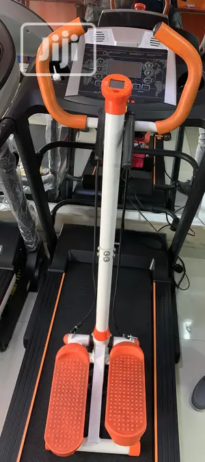 Standing Mini Stepper
