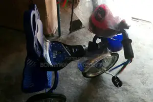 2 Years Children Tricycle