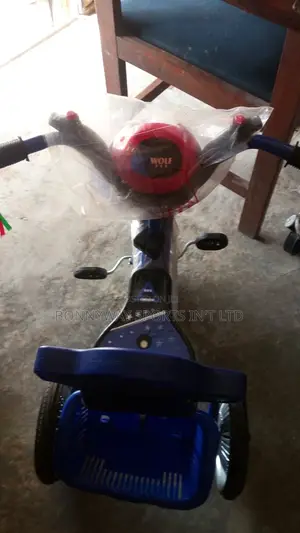 2 Years Children Tricycle