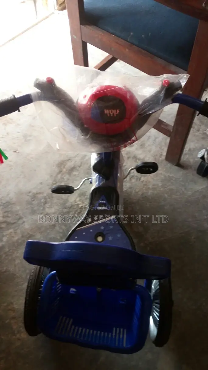 2 Years Children Tricycle