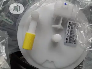 Complete Fuel Pump Nissan Qashqui 2013