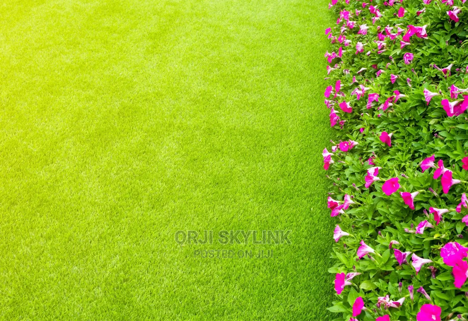 New Artificial Synthetic Grass