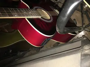 Semi Acoustic Guitar