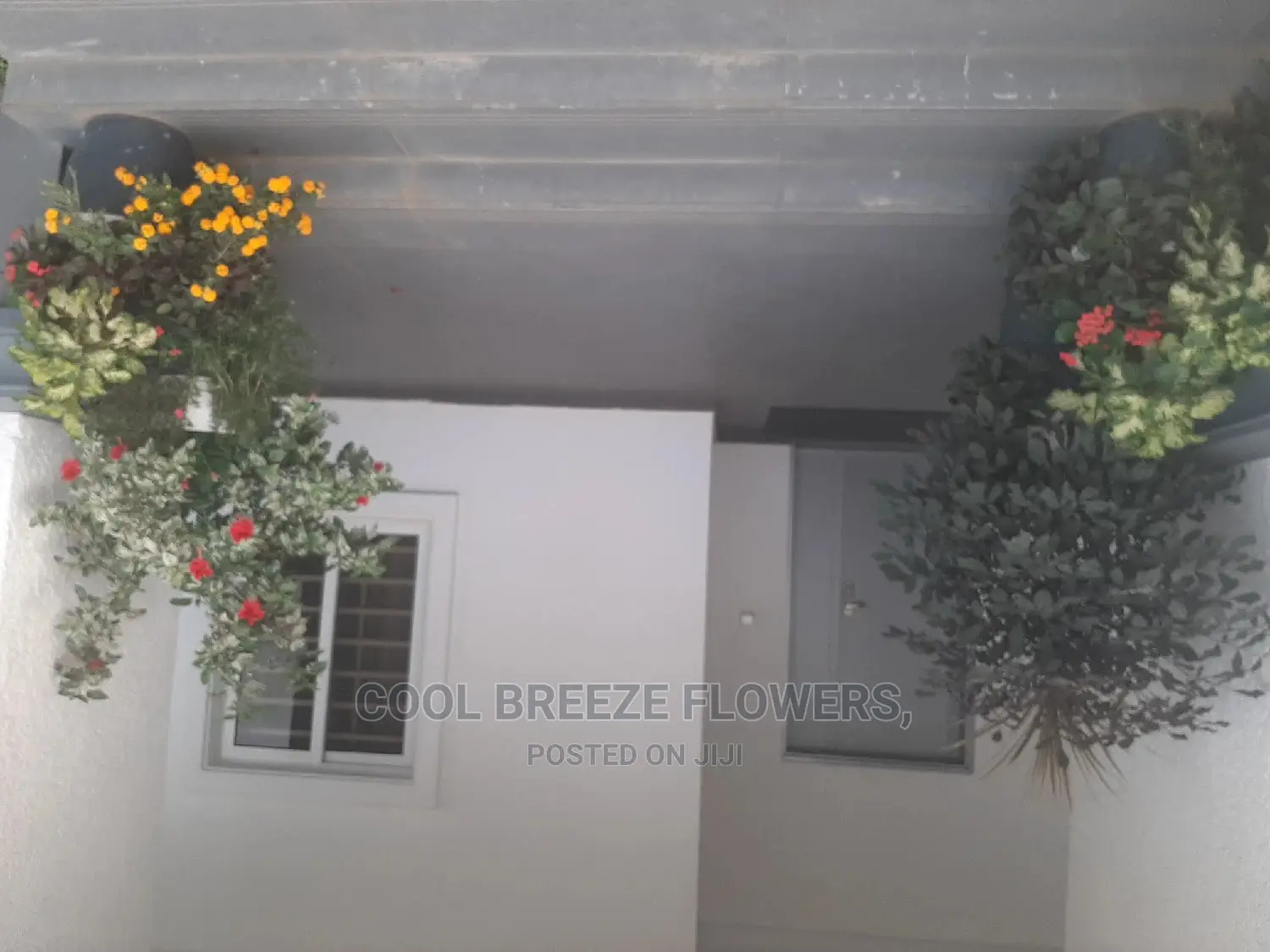 Flowers To Beautify Ur Environment