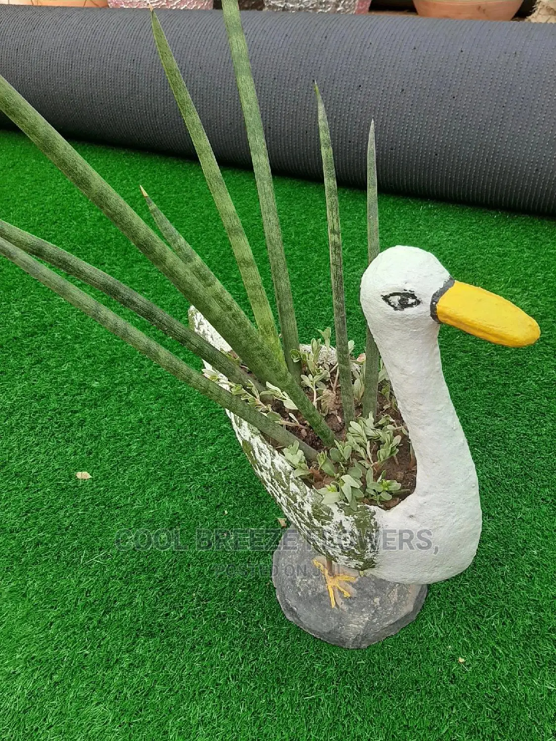 Flowers To Beautify Ur Environment