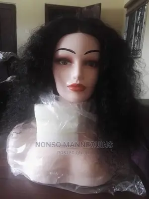 Plastic Head Mannequin Display