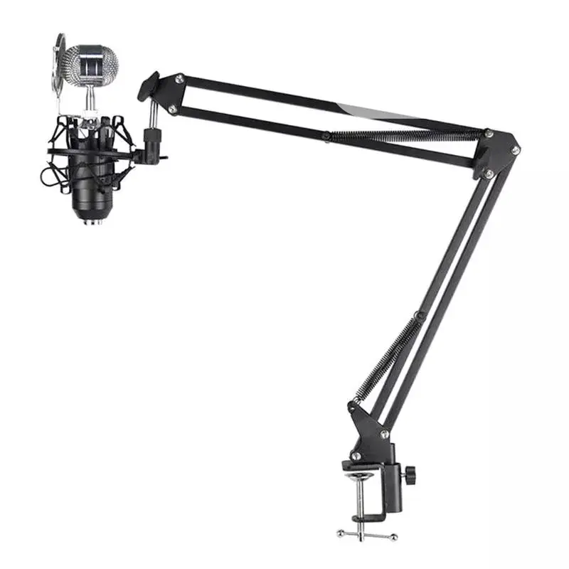 Professional Recording Microphone Stand