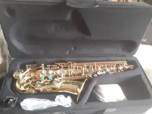 Professional Alto Saxophone