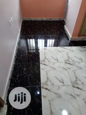 Professional Cleaning Services and Pos Constriction Cleanin