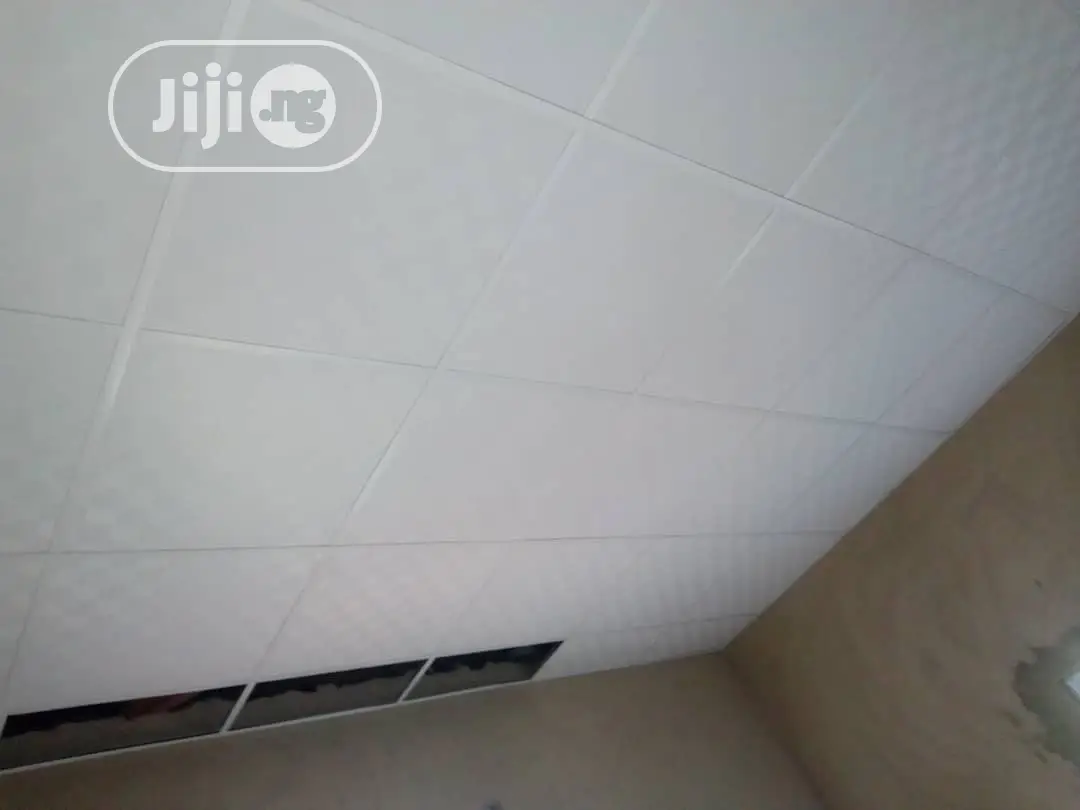 Ceiling Works