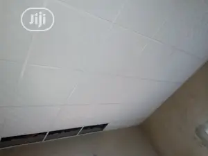 Ceiling Works