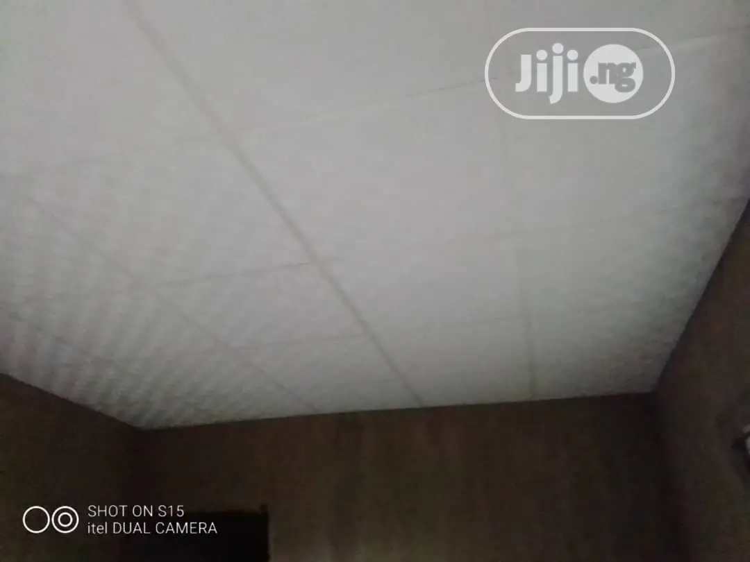 Ceiling Works