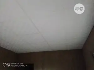 Ceiling Works