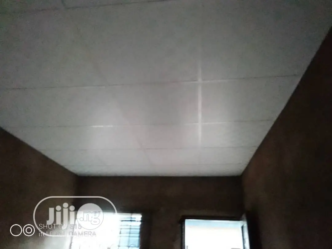 Ceiling Works