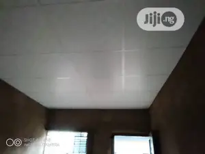 Ceiling Works