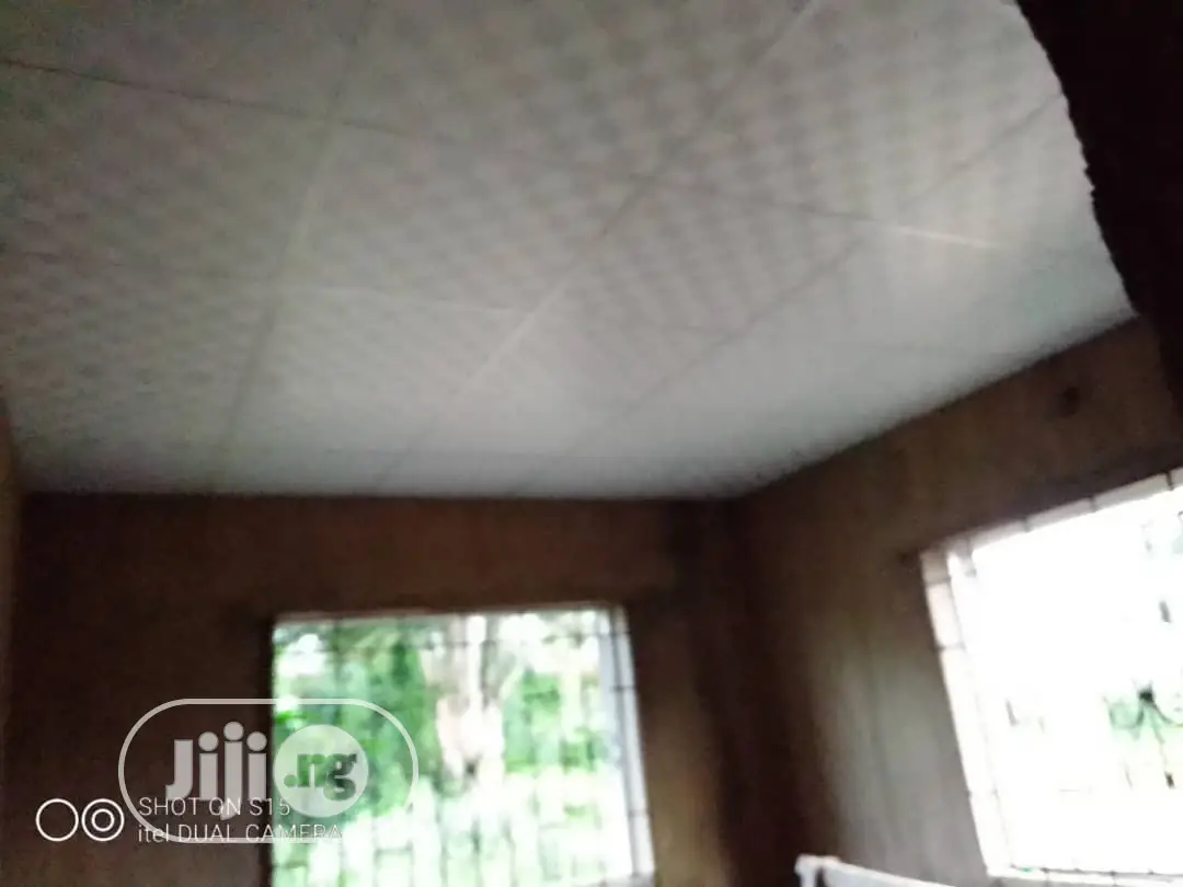 Ceiling Works