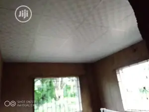 Ceiling Works