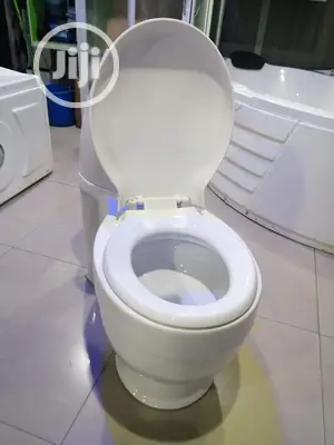 Italian Top Flush Executive Wc