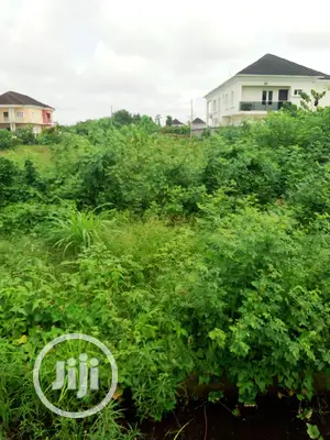 This Lands Is C of O and Governor Conecnt Inside Beechwood