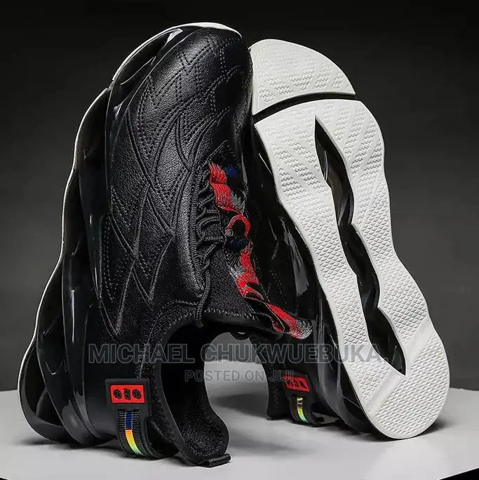 Canvas Shoe