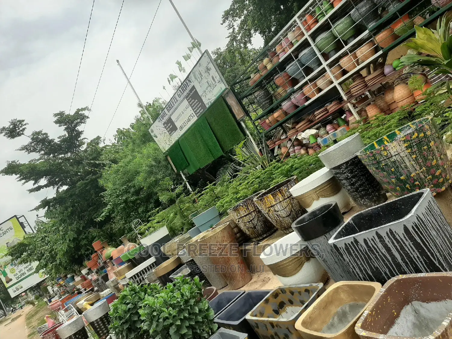 Nice Plants For Air Purifier