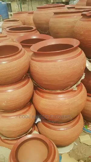 Nice Plants For Air Purifier