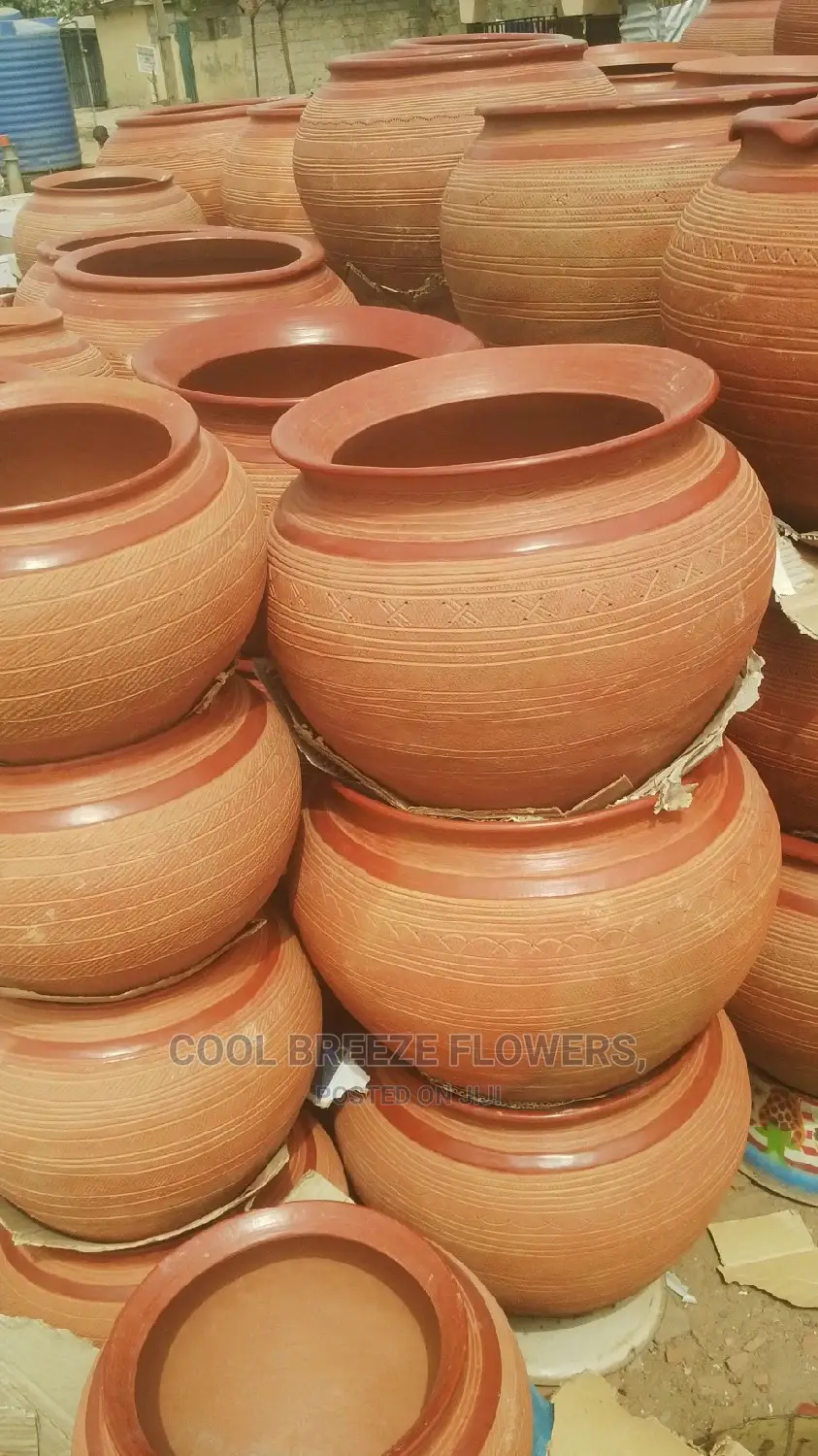 Nice Plants For Air Purifier