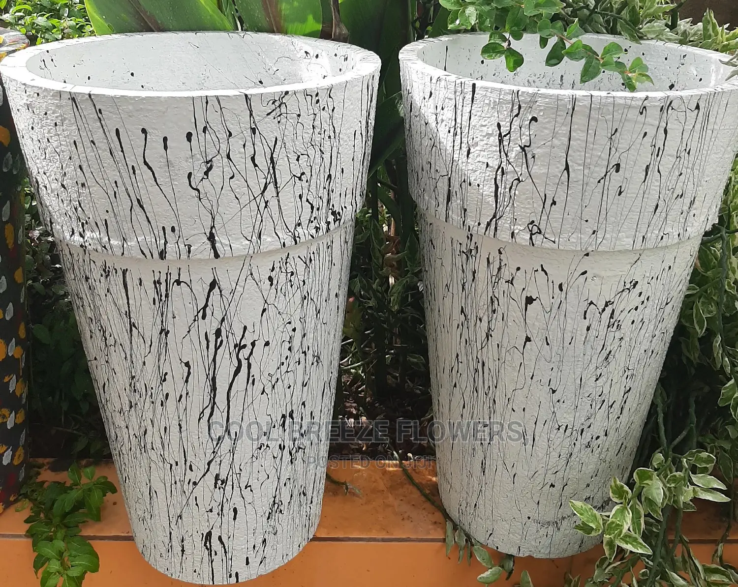 Nice Plants For Air Purifier