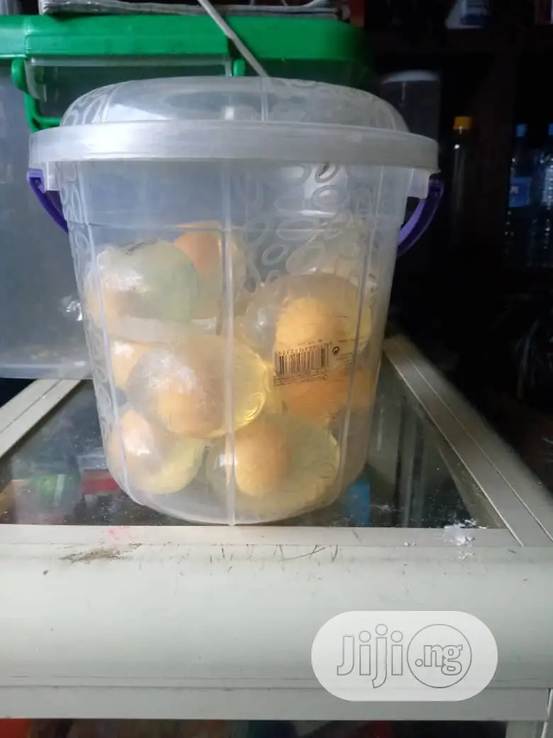 Egg Soap (1piece)