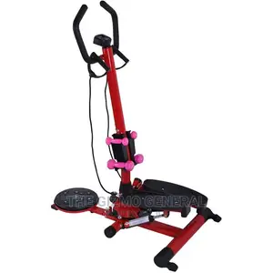 Standing Stepper With Twister and Dumbbells