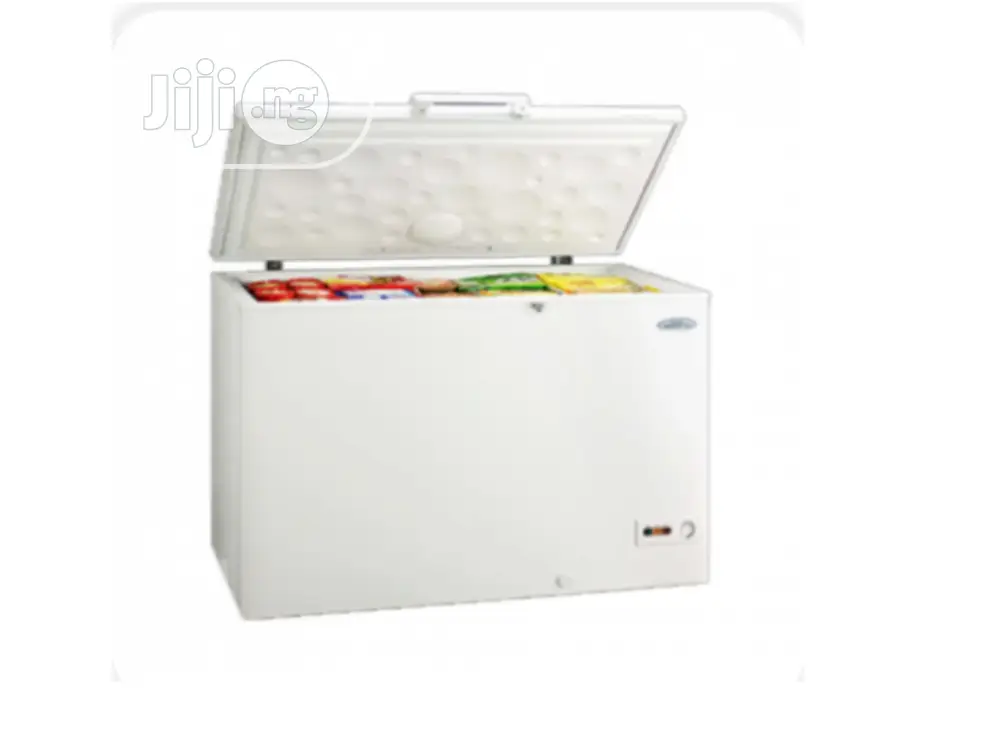 Thermocool Freezer 379is R6 (Inverter Model)