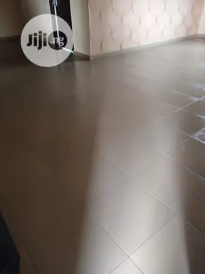 Professional Cleaning Services
