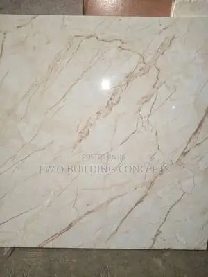 60 by 60 Floor Tiles